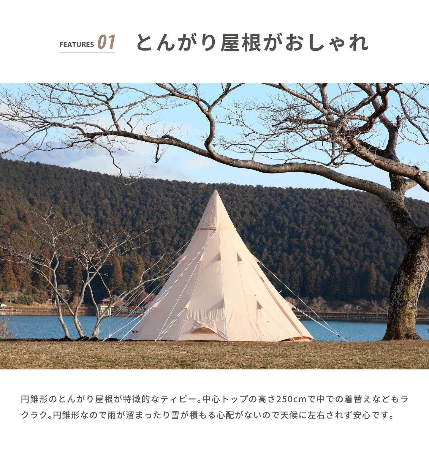【 Tippo300 】 ティポ300 ティピーテント ポリコットン生地