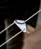 【 Deco de rope ホワイト 】 デコデロープ ガイロープ セット(6本入り)